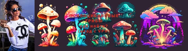 apvp Гусиноозёрск