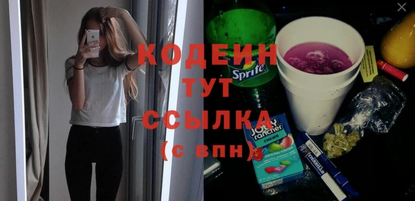 apvp Гусиноозёрск