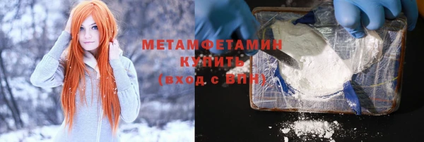 твердый Гусев
