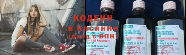 твердый Гусев