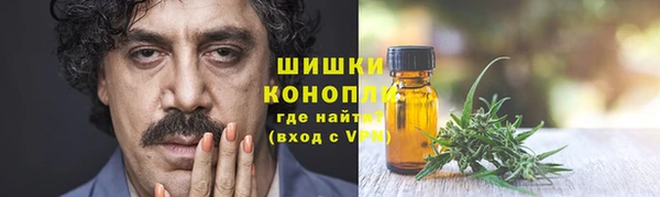 твердый Гусев
