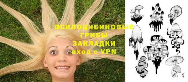 твердый Гусев