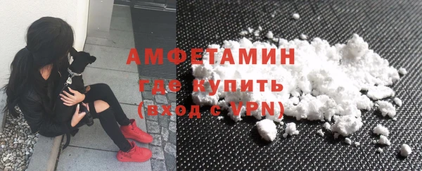 твердый Гусев