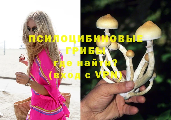 твердый Гусев