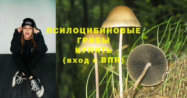 героин Гусь-Хрустальный