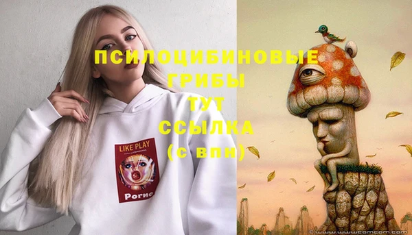 твердый Гусев