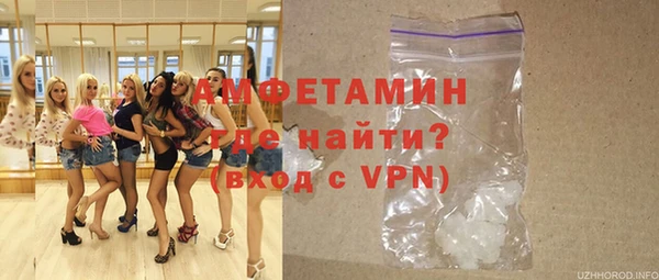 твердый Гусев