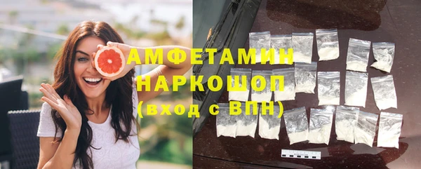 твердый Гусев