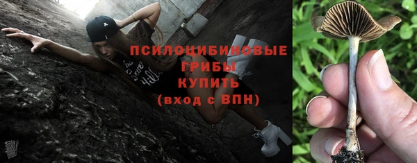 твердый Гусев