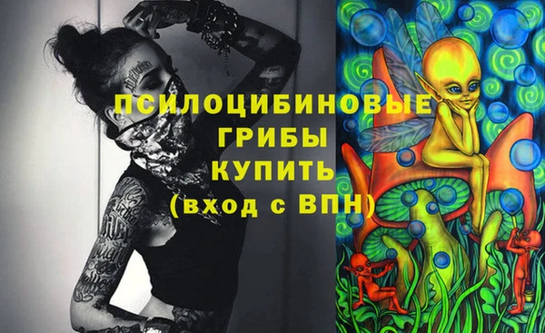 apvp Гусиноозёрск