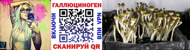 Псилоцибиновые грибы мицелий  Купить закладки  Всеволожск 