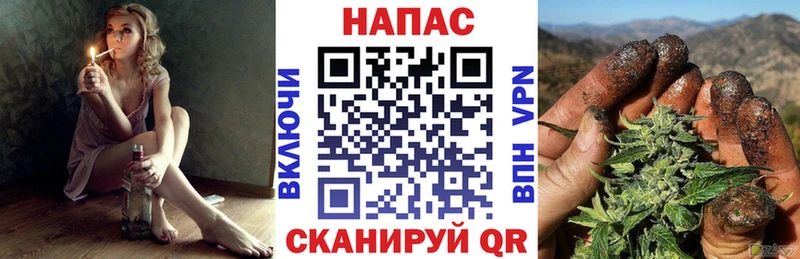 МАРИХУАНА планчик  Купить где  Всеволожск 